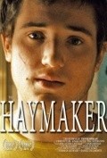 Movies The Haymaker poster