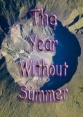 Movies The Year Without Summer poster