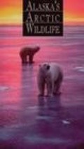 Movies Alaska's Arctic Wildlife poster