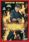 Movies Halcones de la frontera 3 poster
