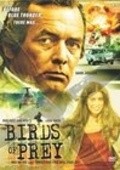 Movies Birds of Prey poster