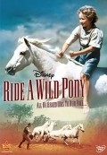 Movies Ride a Wild Pony poster