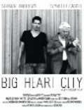 Movies Big Heart City poster
