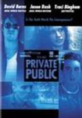 Movies The Private Public poster