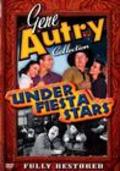 Movies Under Fiesta Stars poster