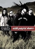 Movies P.O.D.: Still Payin' Dues poster