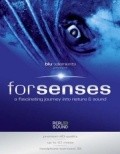 Movies Senses poster