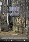 Movies Luna verde poster