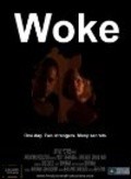 Movies Woke poster