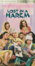 Movies Lost in a Harem poster
