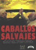 Movies Caballos salvajes poster