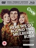 Movies Here We Go Round the Mulberry Bush poster