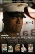 Movies The Grass Grows Green poster