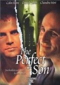 Movies The Perfect Son poster
