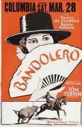 Movies The Bandolero poster