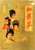 Movies Hong lou meng poster