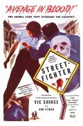 Movies Street-Fighter poster