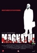Movies Magnatul poster