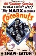 Movies The Cocoanuts poster