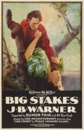 Movies Big Stakes poster