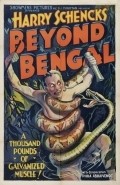 Movies Beyond Bengal poster
