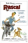 Movies Rascal poster