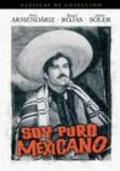 Movies Soy puro mexicano poster