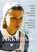 Movies Pikkusisar poster