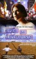 Movies David im Wunderland poster