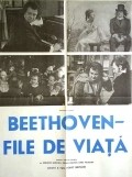 Movies Beethoven - Tage aus einem Leben poster