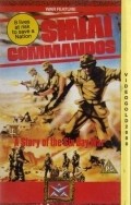 Movies Kommando Sinai poster