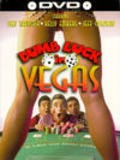 Movies Dumb Luck in Vegas poster