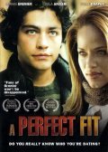 Movies A Perfect Fit poster