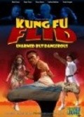 Movies Kung Fu Flid poster