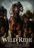 Movies Wild Ride poster