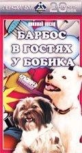 Movies Barbos v gostyah u Bobika poster