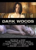 Movies Dark Woods poster