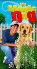 Movies My Ghost Dog poster