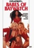Movies Playboy: Babes of Baywatch poster
