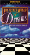 Movies The Secret World of Dreams poster