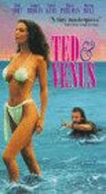 Movies Ted & Venus poster