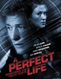 Movies A Perfect Life poster