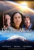 Movies Dreams Awake poster