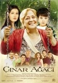 Movies Cinar agaci poster