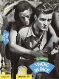 Movies Vivere in pace poster