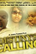 Movies Destiny's Calling poster