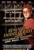 Movies Benjamin Sniddlegrass and the Cauldron of Penguins poster