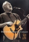 Movies David Gilmour in Concert poster