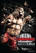 Movies WWE Elimination Chamber poster