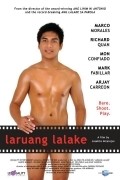 Movies Laruang lalake poster